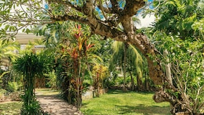A garden pathway with various plants and a large tree. - Beau Vallon Bungalows (Mahé Island)
