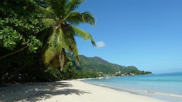 Vlak bij het strand