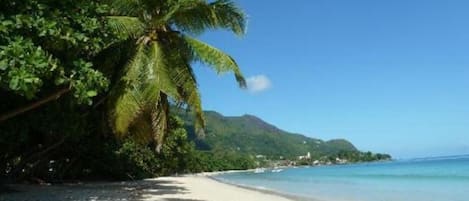 Playa en los alrededores 