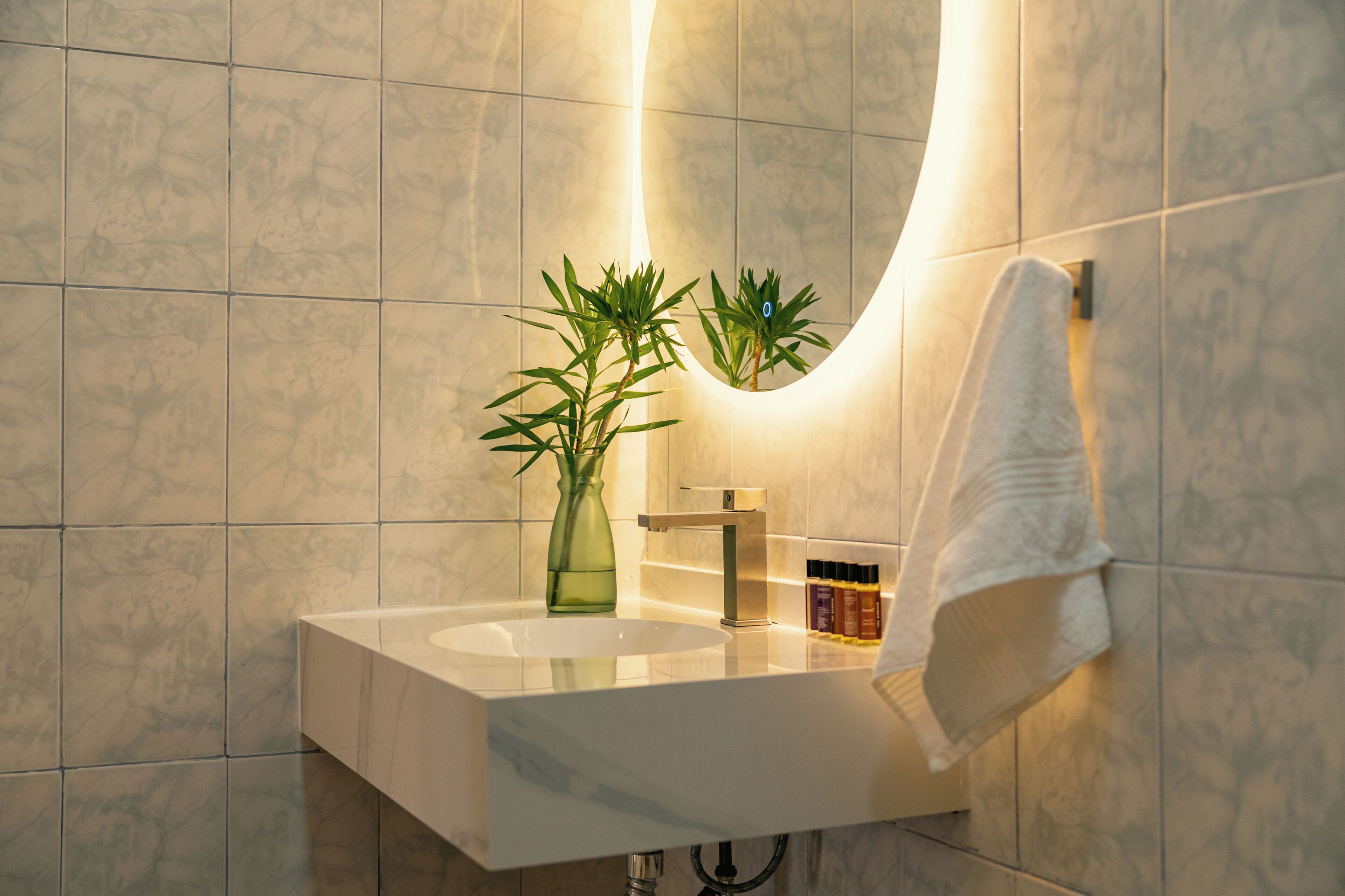 A bathroom with a white sink, a mirror, a towel rack, and a green plant.