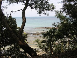 Vista desde la propiedad