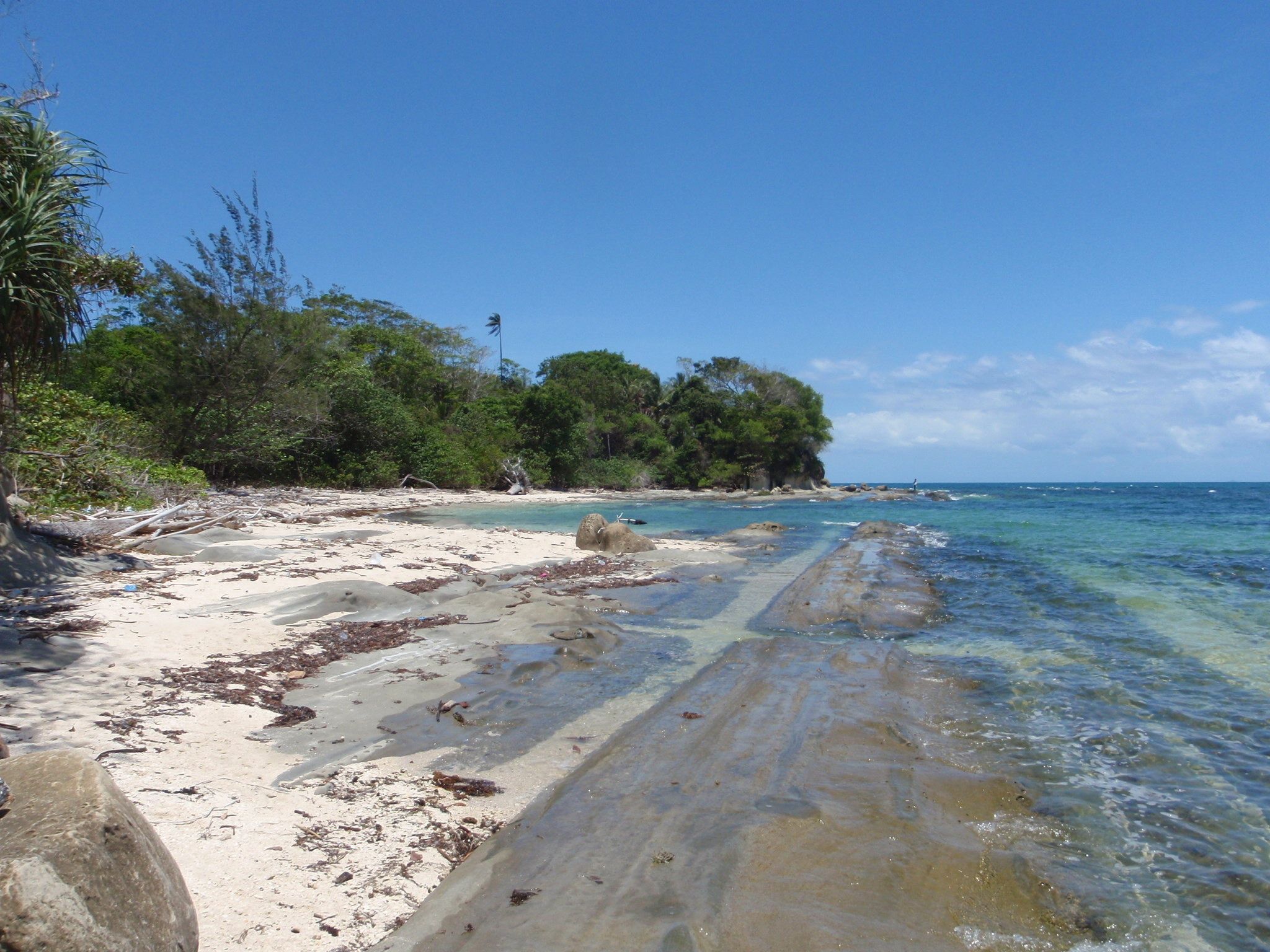 Une plage à l’eau turquoise et limpide, avec un rivage sablonneux et une végétation luxuriante.