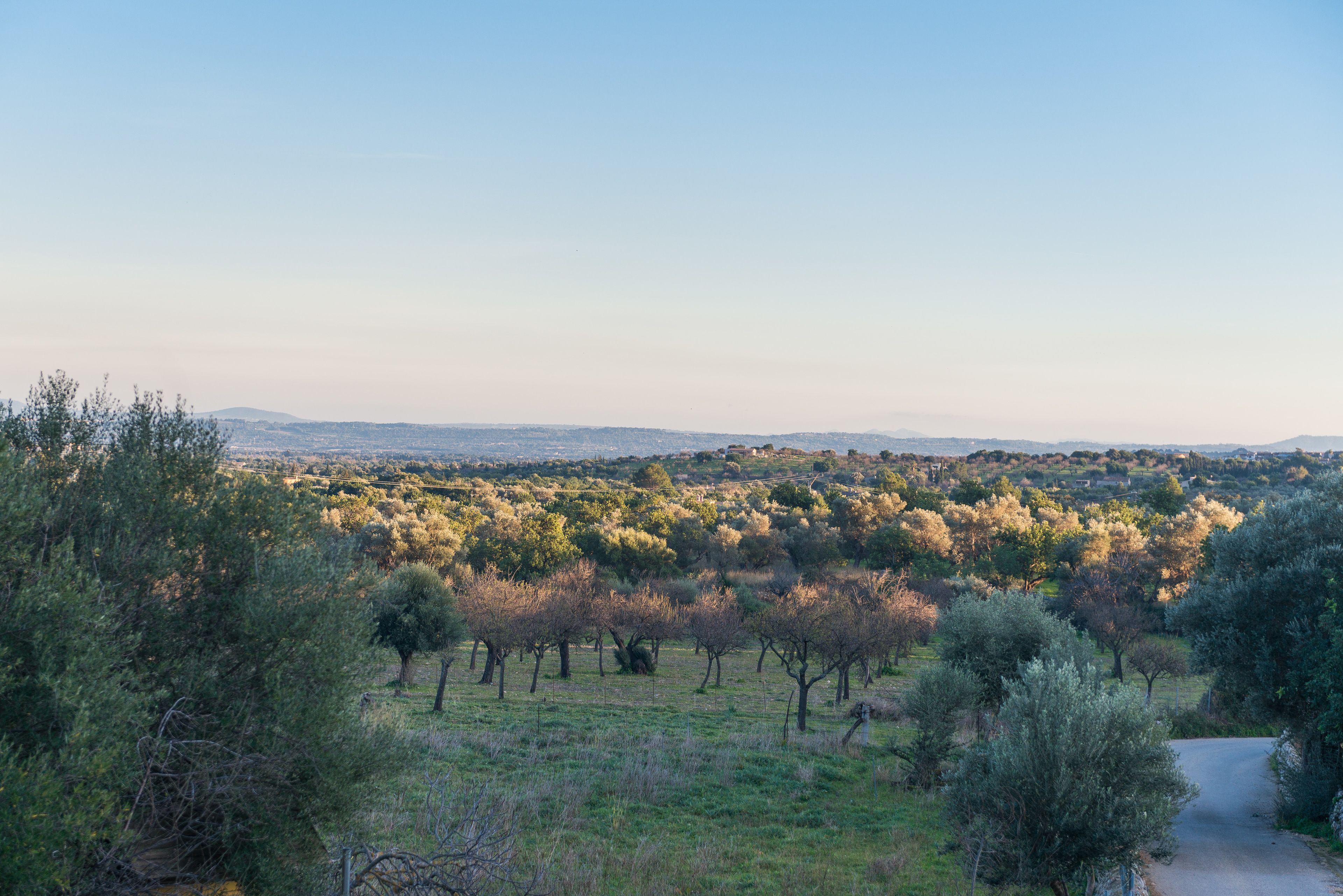 Foto - New Can Furios Hotel by Can Calco Hotels