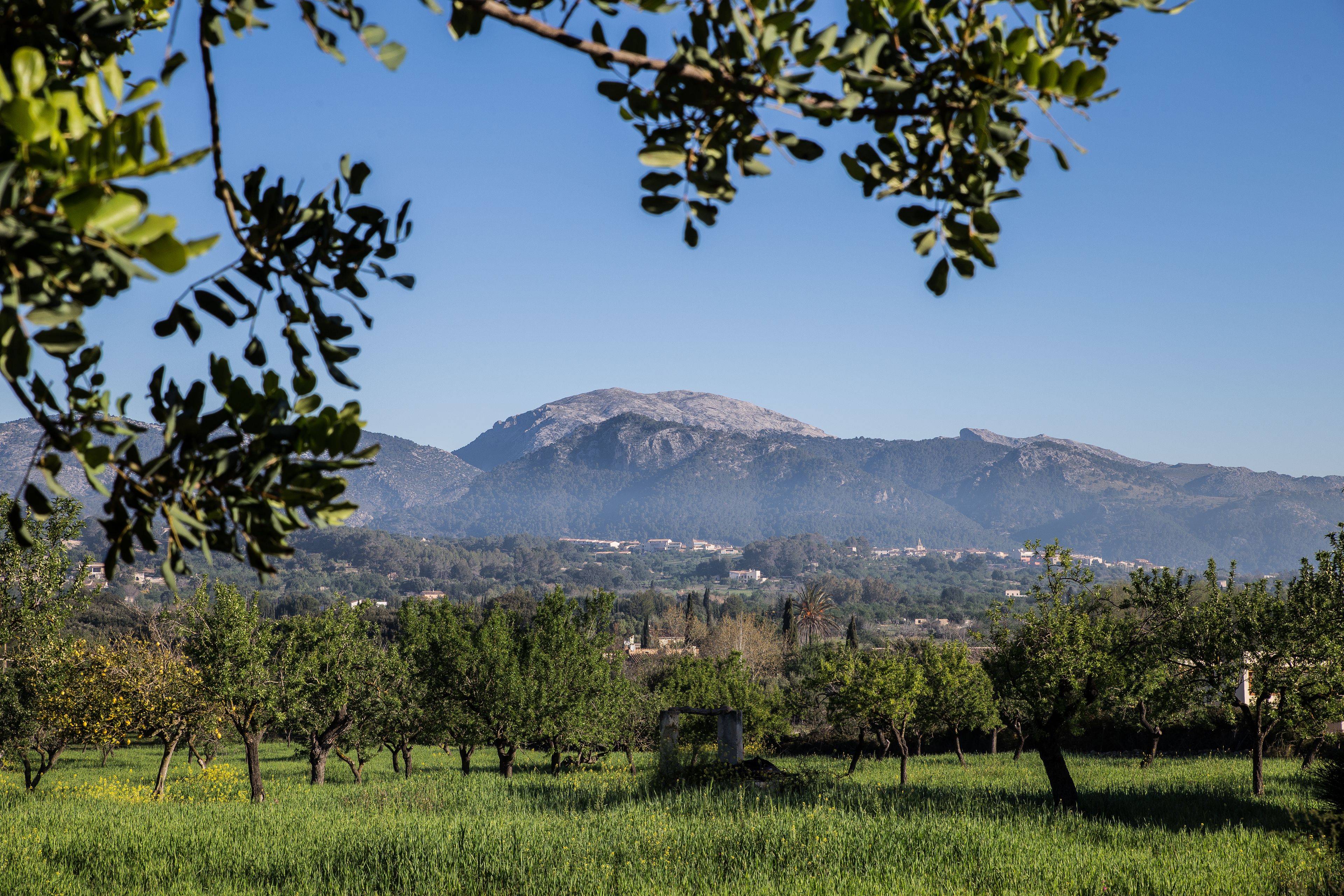 Foto - New Can Furios Hotel by Can Calco Hotels