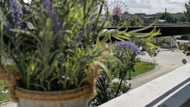 A balcony with a potted lavender plant, a view of a road, a bridge, and a windmill in the background. - Tomis Hotel Neptun  (Neptun)