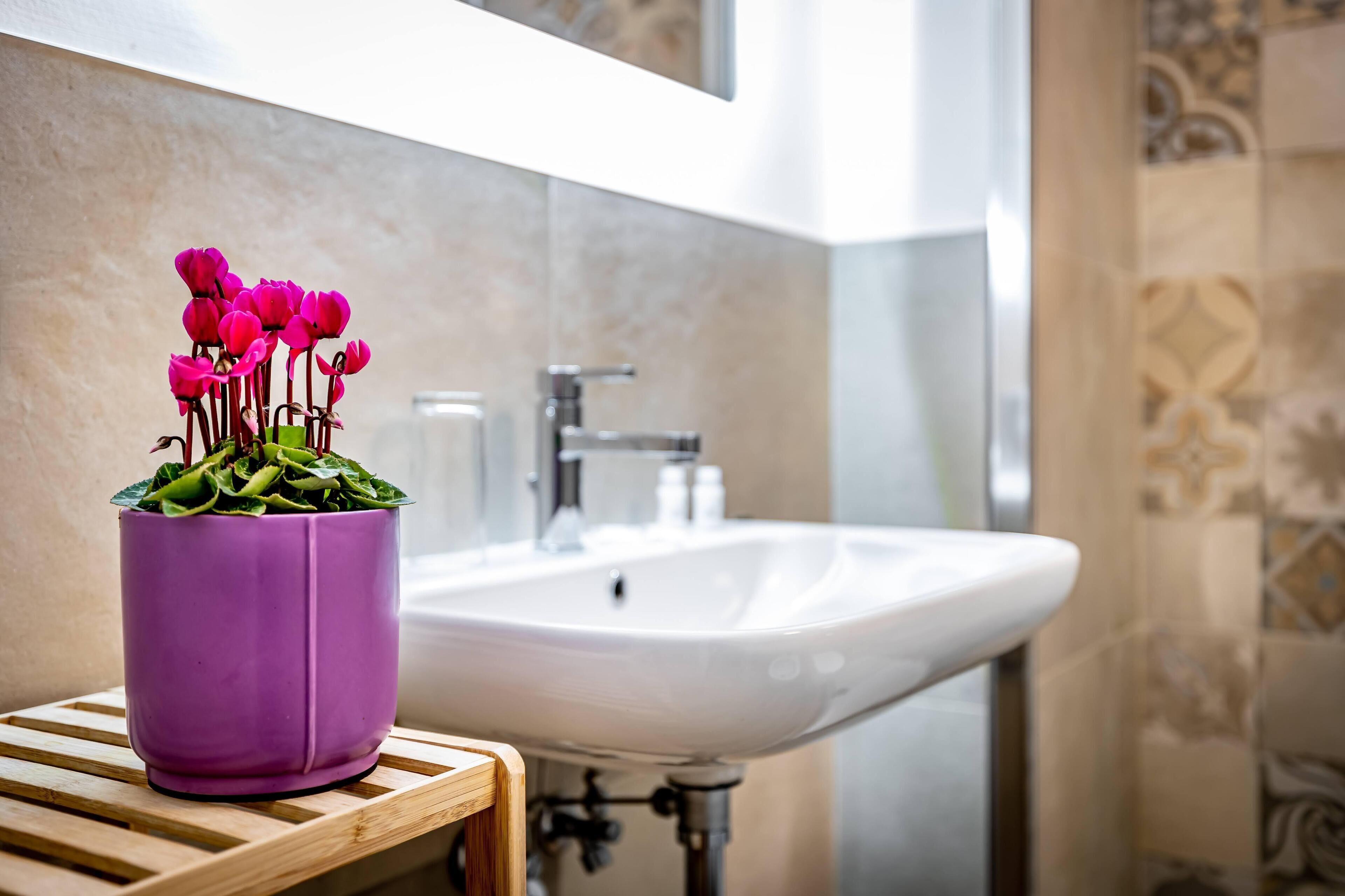 Photo - B&B Lorenzo de' Medici