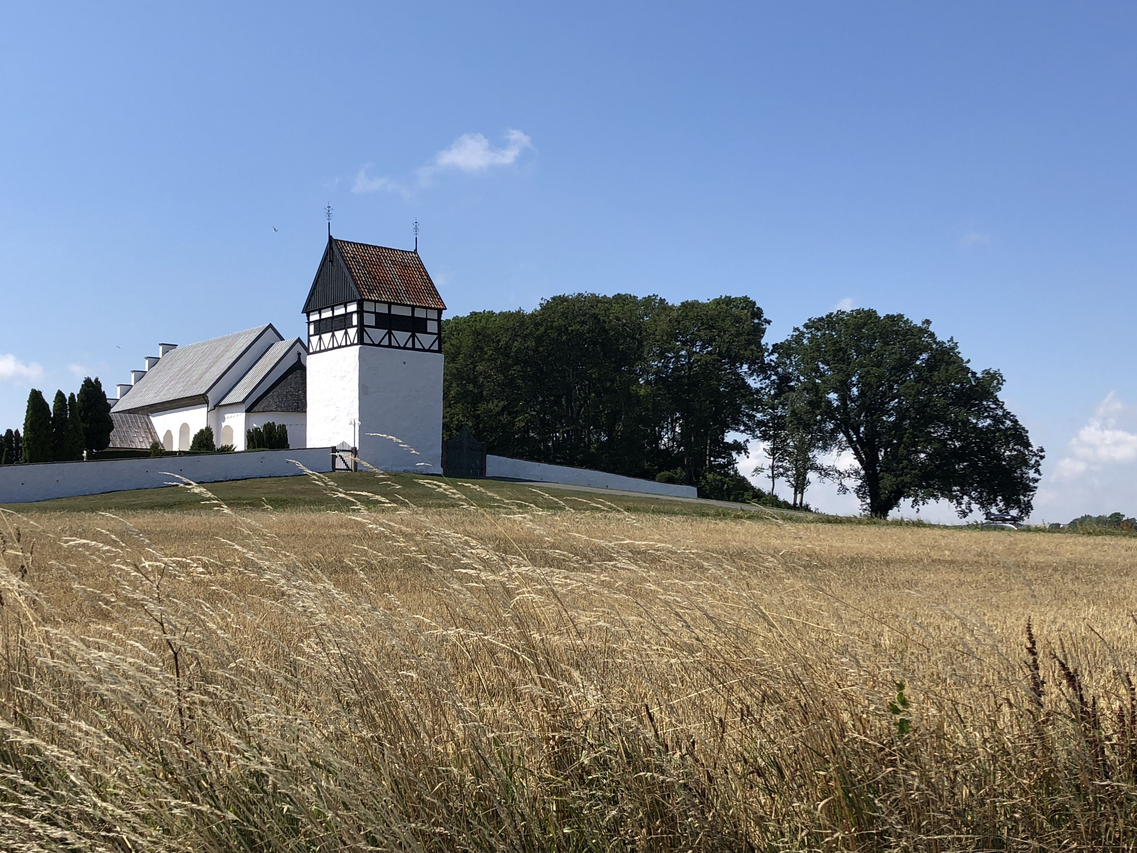 A building with a white facade and a black roof, surrounded by a field and trees.