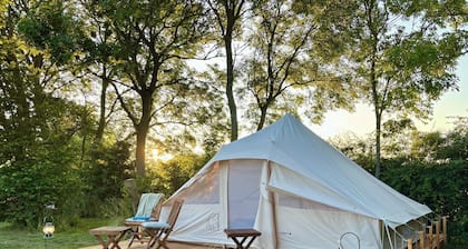 Myregaard B&B & Apartments
