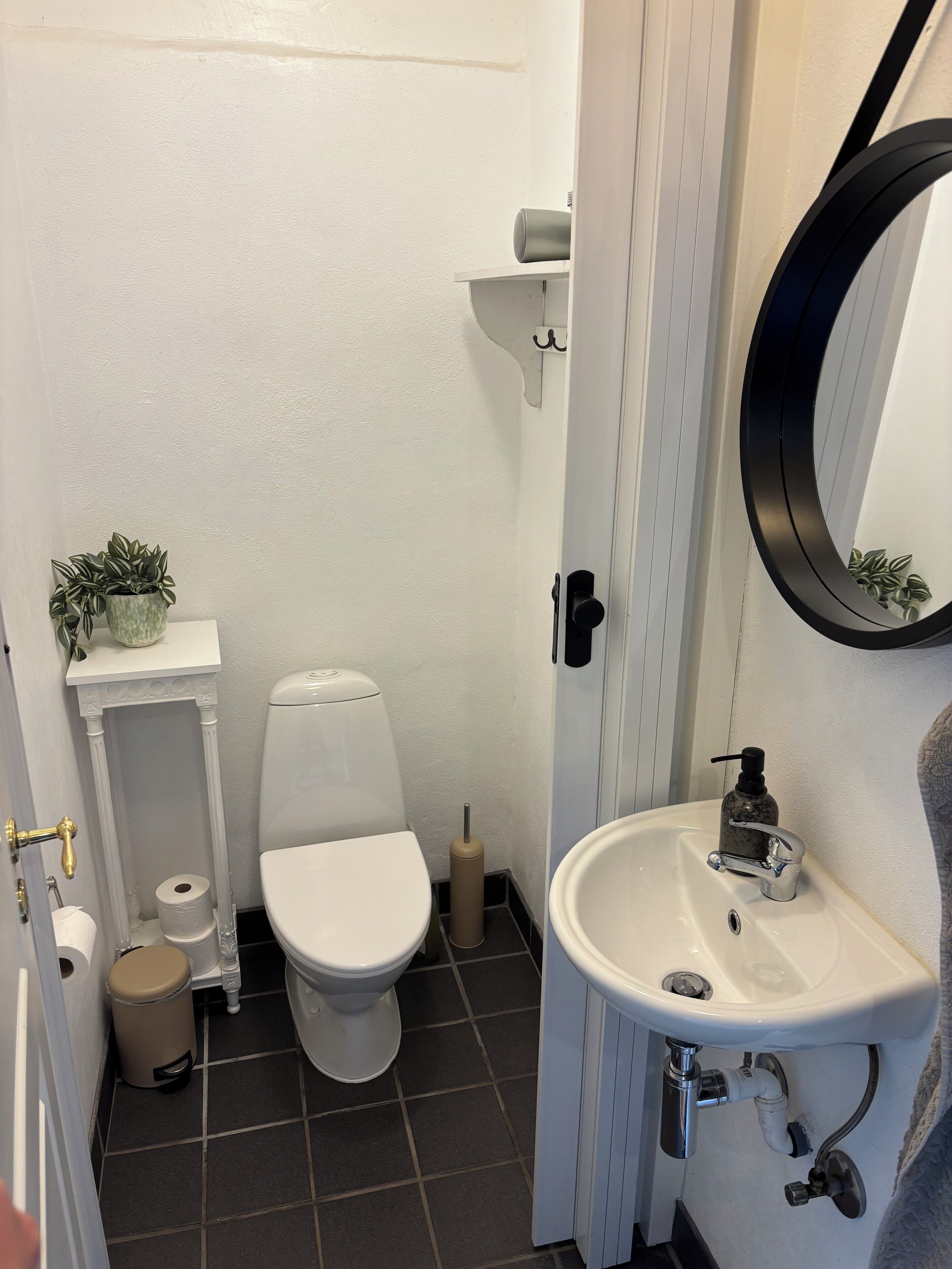 Une petite salle de bain comprenant des toilettes, un lavabo et une petite étagère sur laquelle est posée une plante.