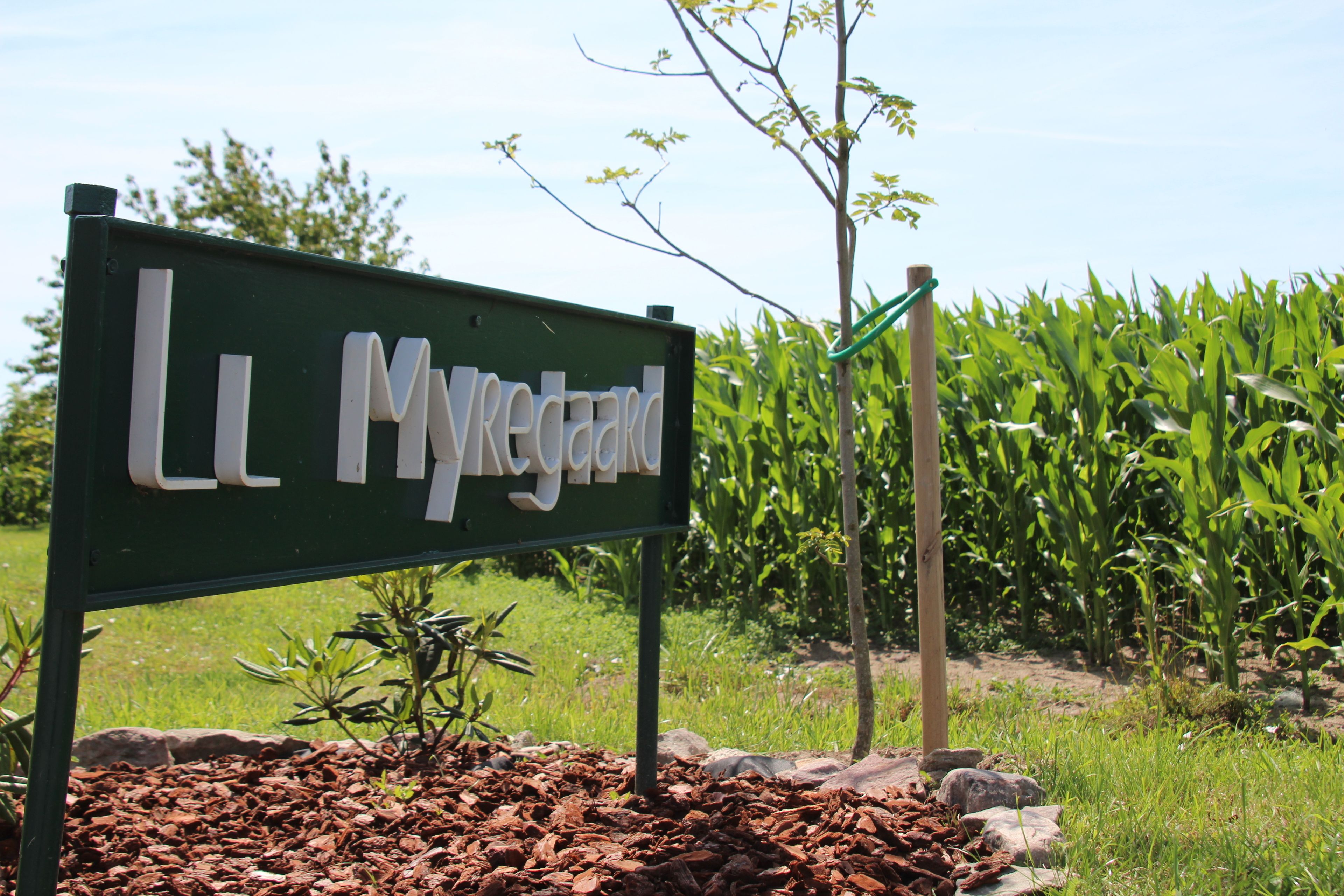 A green sign with white lettering reading "Le Myregard" in a rural setting with a cornfield in the background.