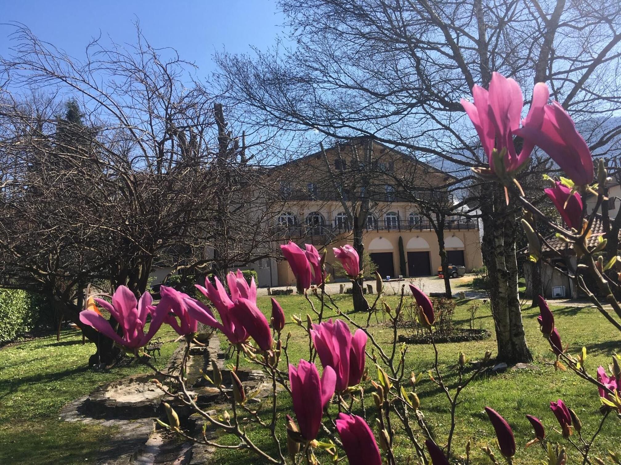Un edifici d'estil arquitectònic tradicional, envoltat d'una zona verda amb flors rosades en floració.