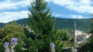 Una piscina rodeada de plantas de lavanda, con vista a una montaña y una fila de sillas de descanso.