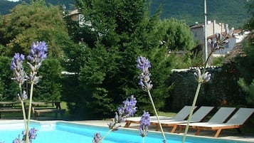 Outdoor pool, sun loungers