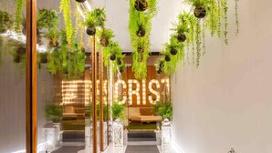 A hallway with hanging plants, white lanterns, and a sign that reads "CRIST". - Hotel Cristal Porto (Porto)