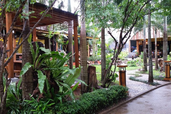 View from property