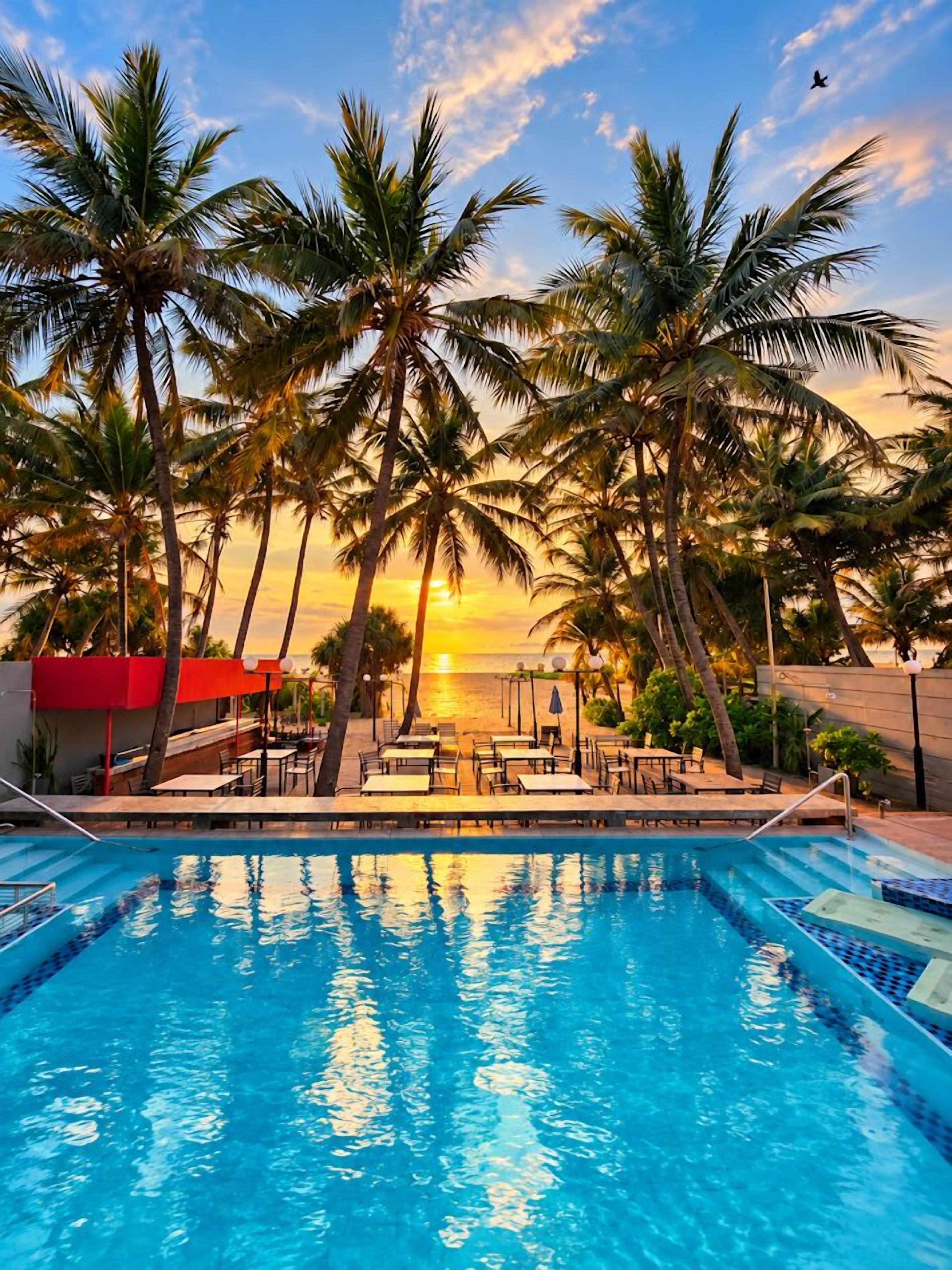 Piscina con palmeras y vista al atardecer.