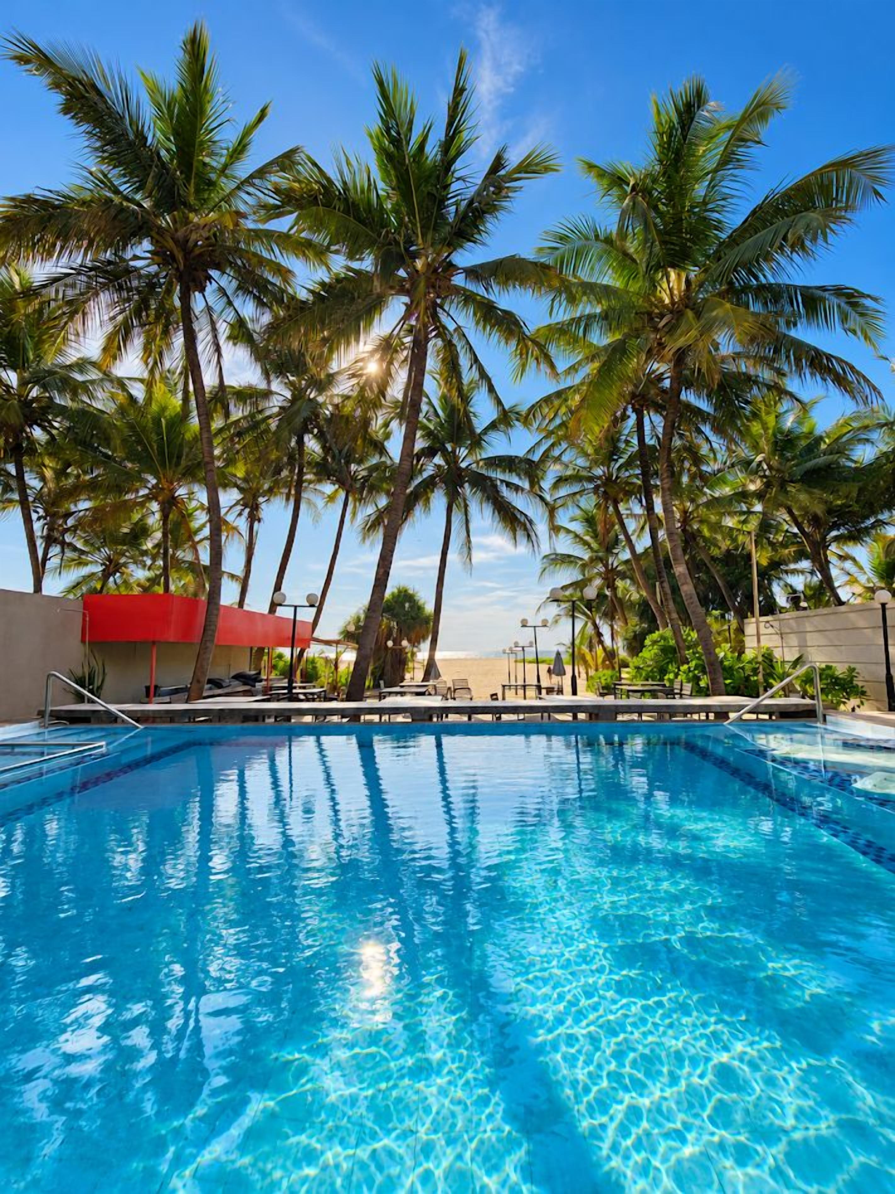 Piscina rodeada de palmeras, con un cielo azul despejado.