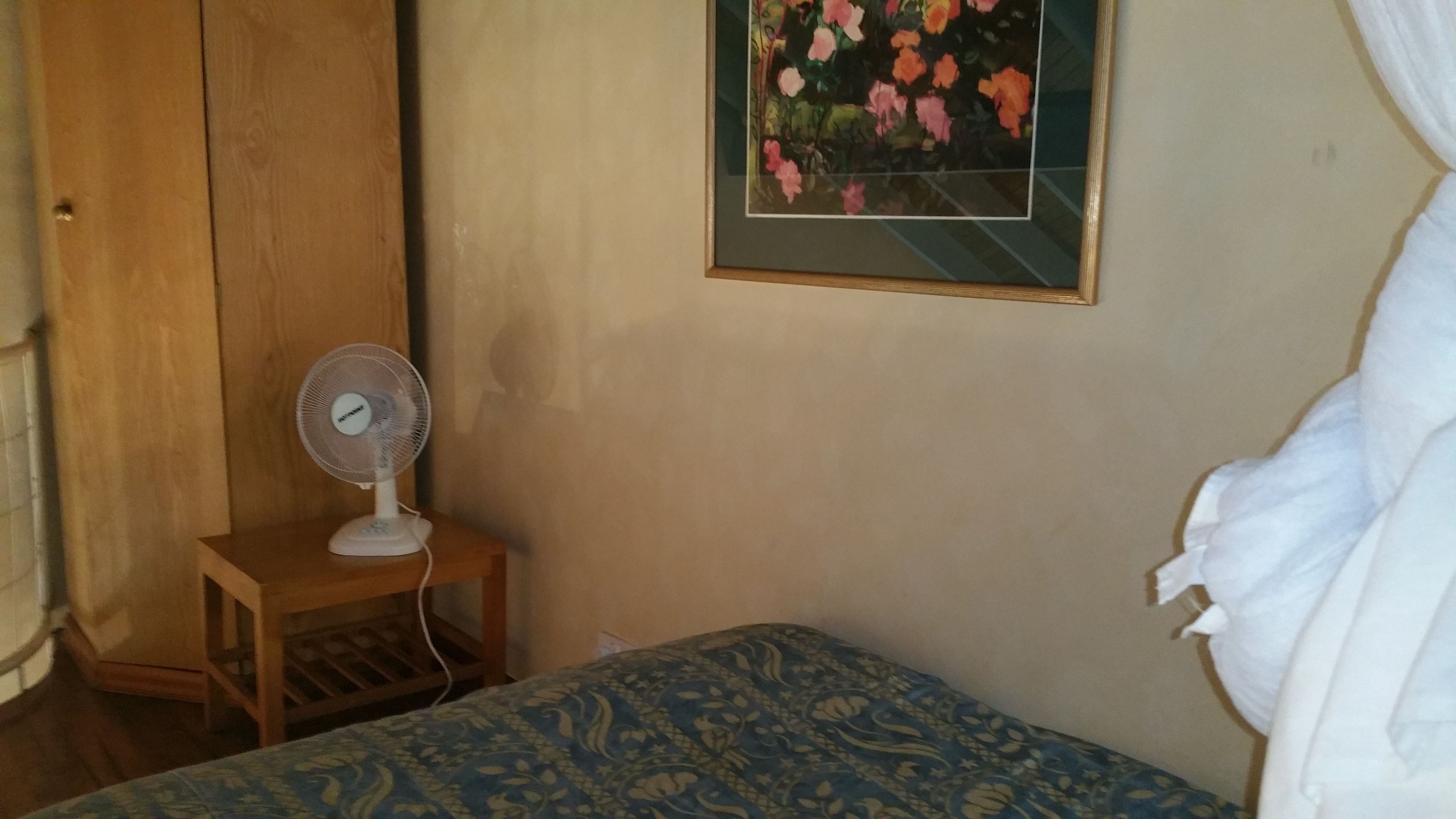 A bedroom with a bed, a standing fan, a wooden wardrobe, and a framed floral painting on the wall.