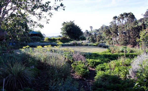 Property grounds - Senani Colonial Holiday Bungalow (Nuwara Eliya)
