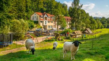 Un paisaje rural con una casa grande, un corral con ovejas y un parque infantil.