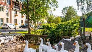 A row of white geese near a water feature, with a building and parked cars in the background. - Hotel Waldmühle (Zella-Mehlis)
