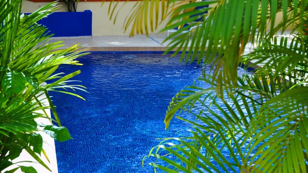 A clear view of a swimming pool with blue tiles and surrounding greenery. - Hotel Alkamar (Cóbano)