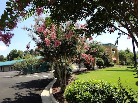 Jardín