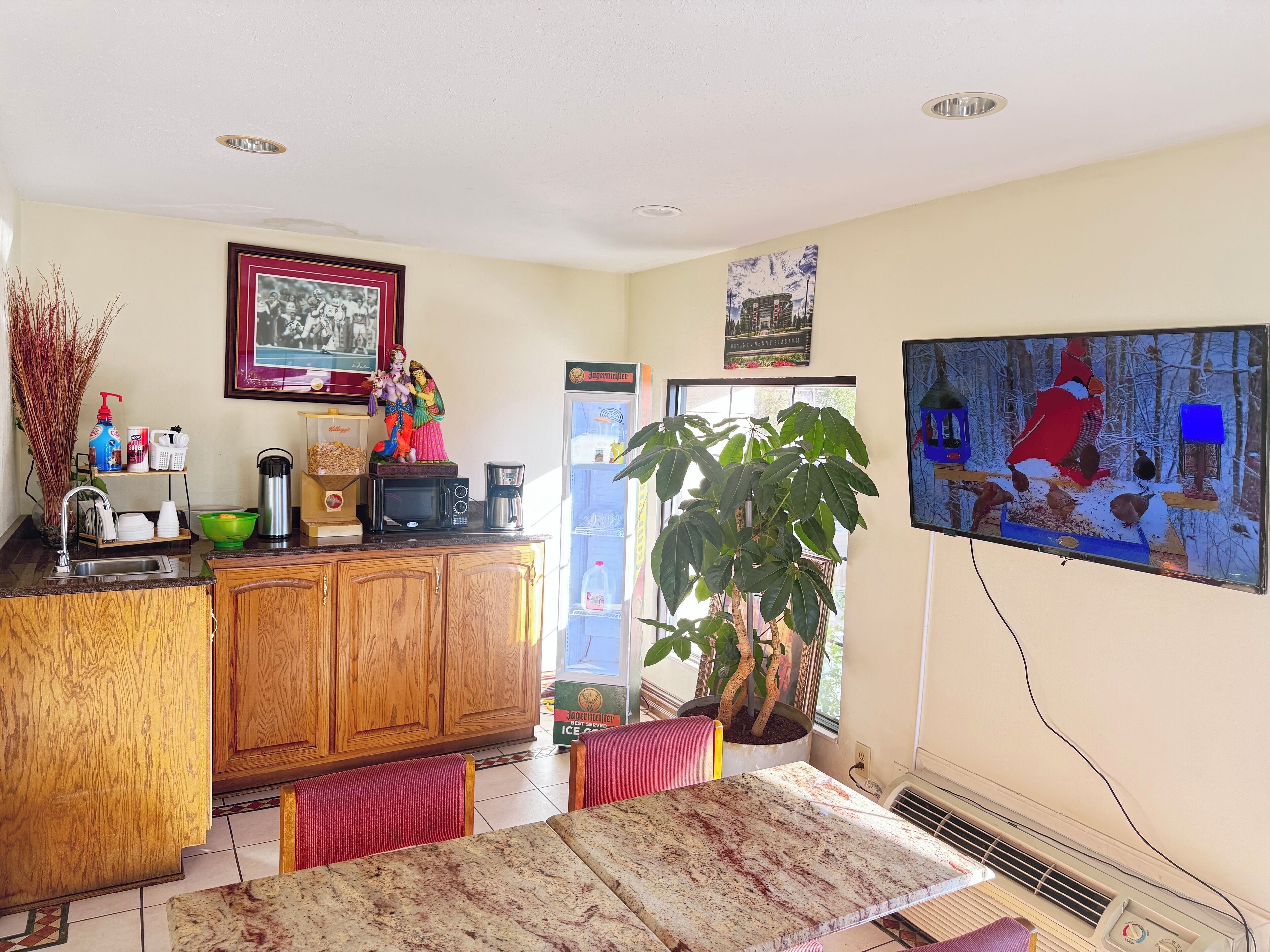 فطور أوروبي مجانًا يوميًا