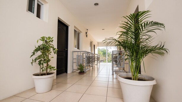 Um corredor com plantas em vasos, piso ladrilhado e vista para o exterior.