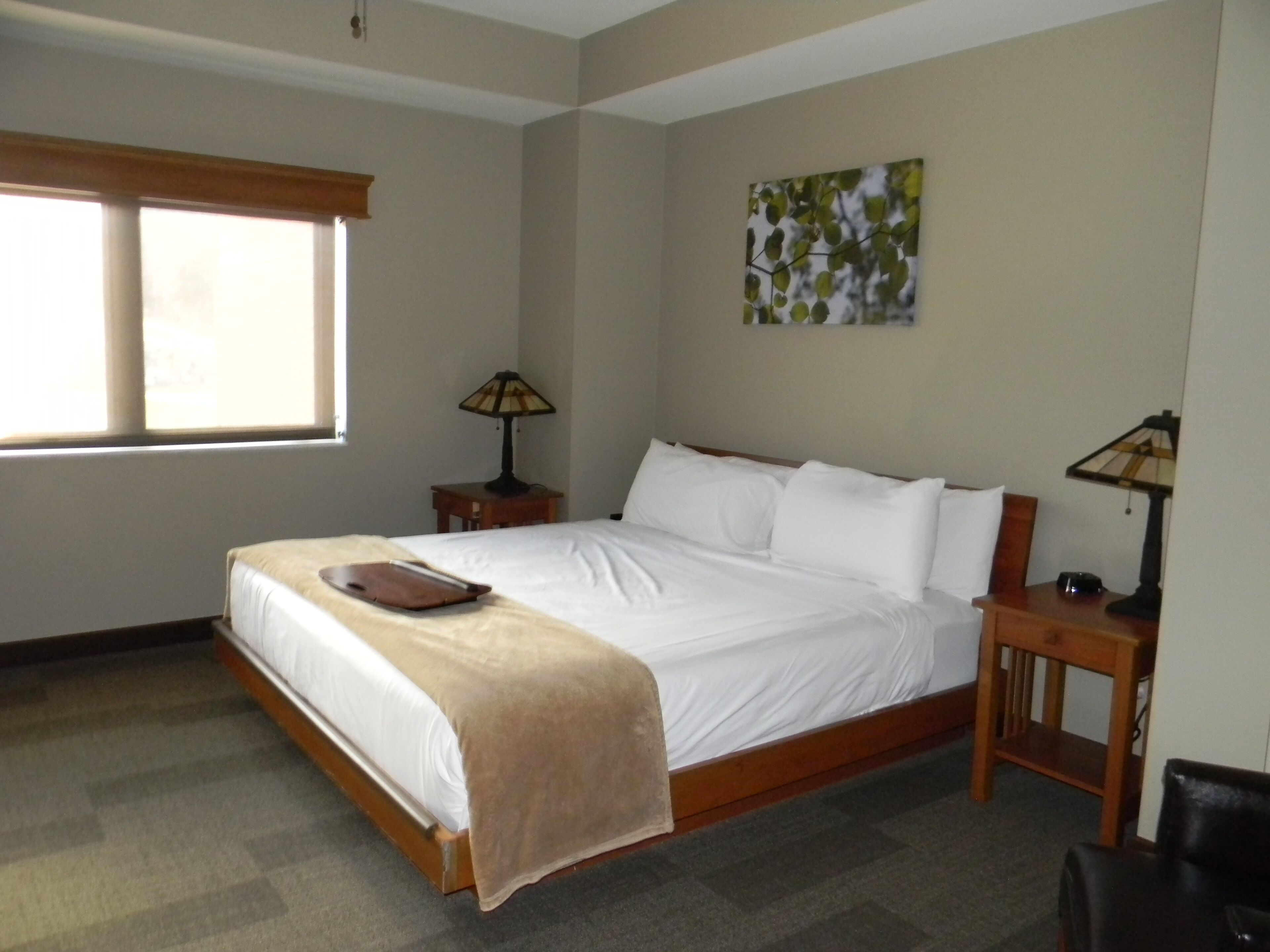 Desk, iron/ironing board, free WiFi, bed sheets