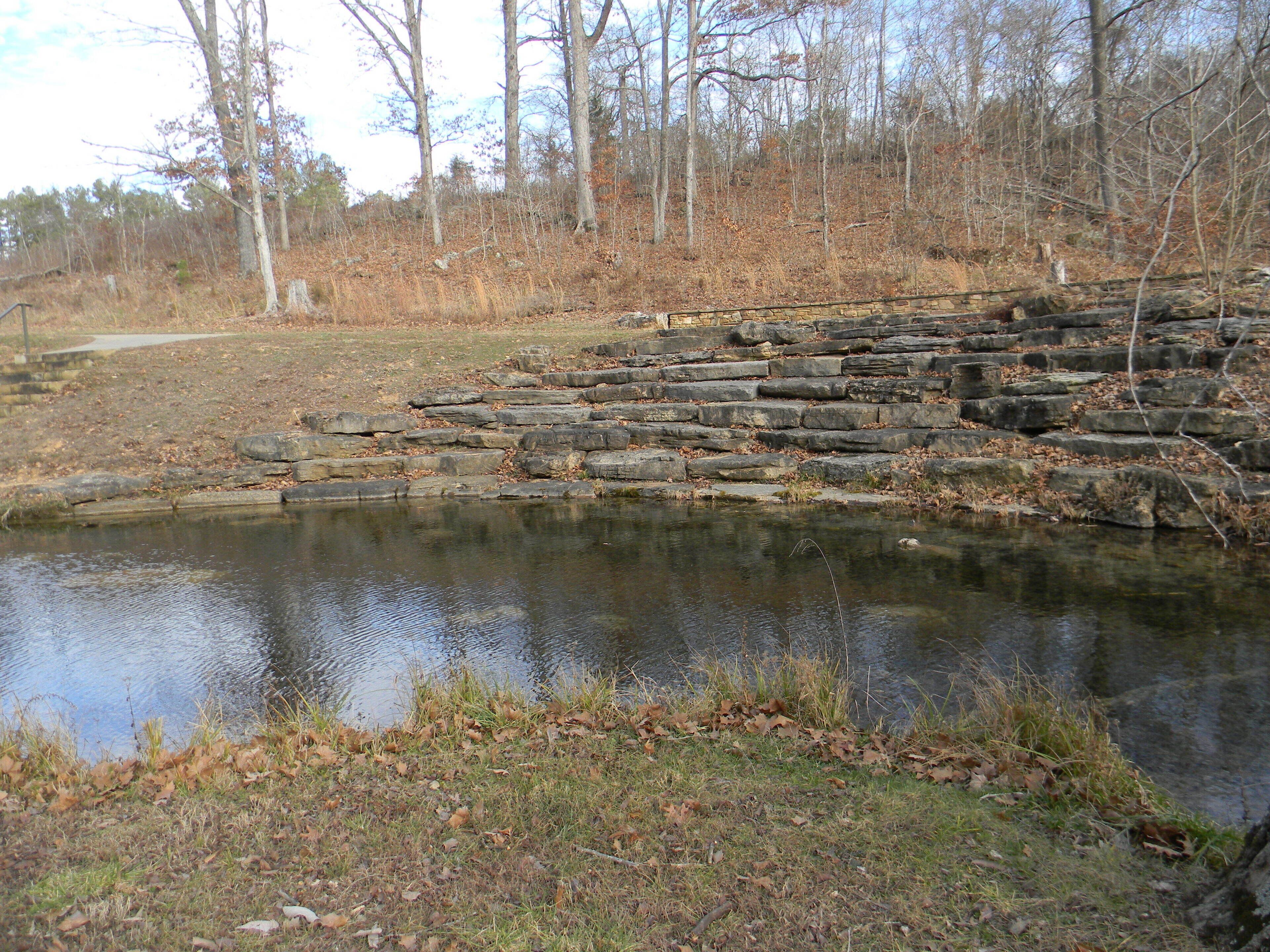 A stone retaining wall beside a pond in a wooded area.