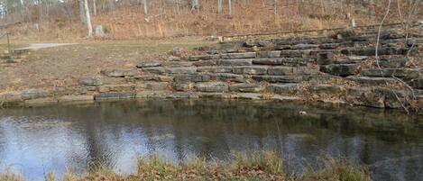 A stone retaining wall beside a pond in a wooded area.