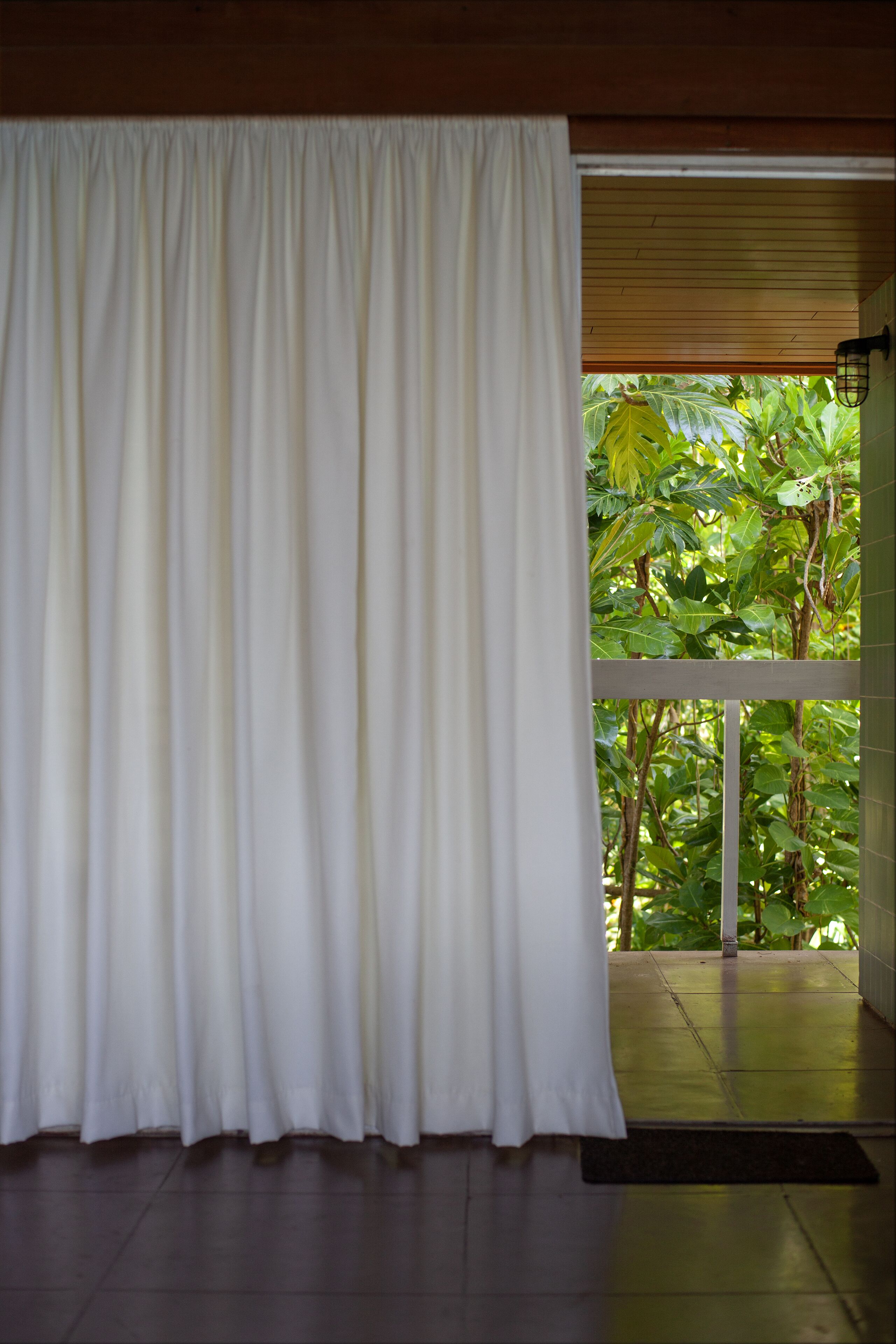 A room with a white curtain, a wooden ceiling, and a view of lush green foliage through a glass door.