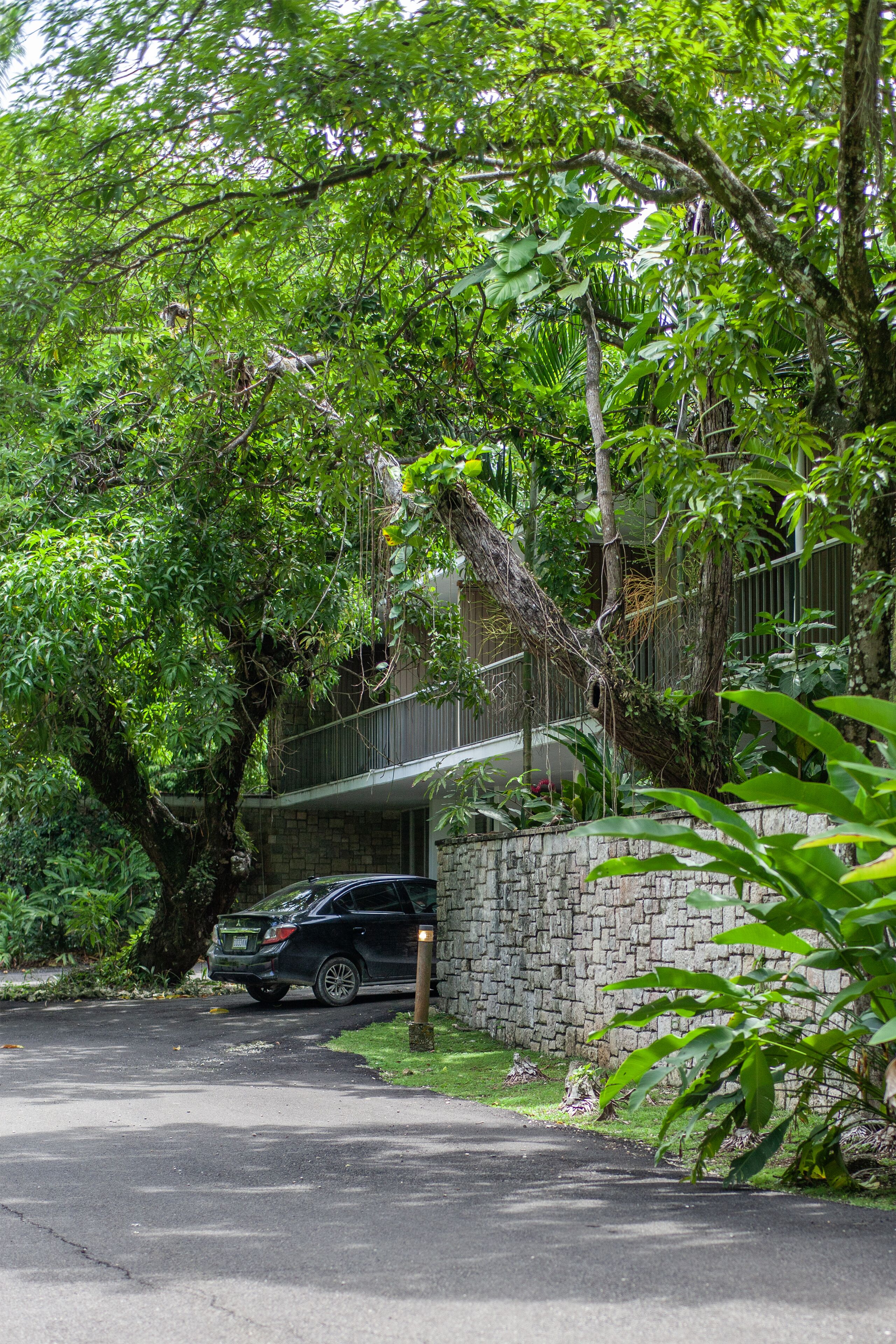 A stone wall, a car, and lush greenery.