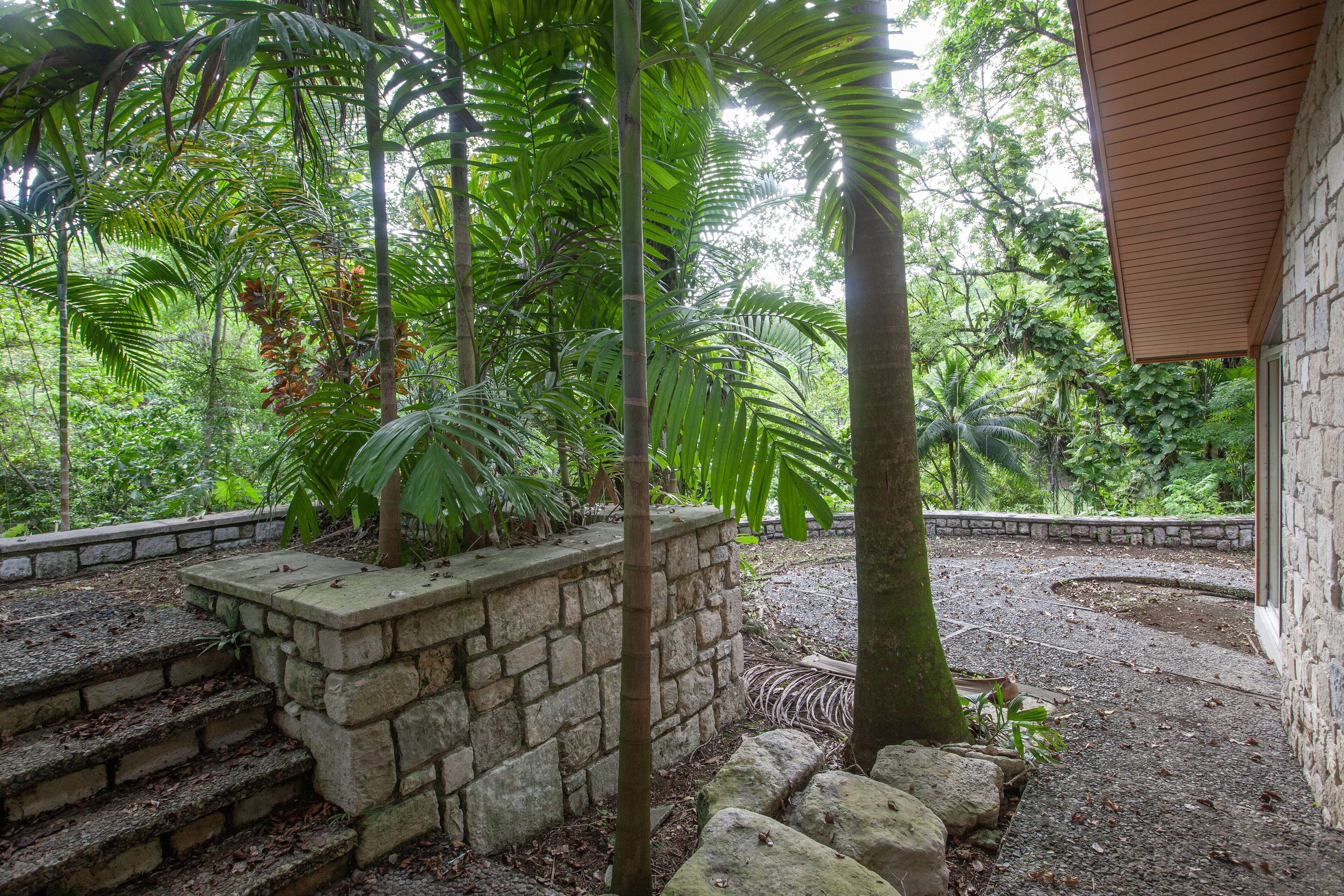 Una escalera de piedra que sube hacia un edificio rodeado de exuberante vegetación y un muro de piedra.