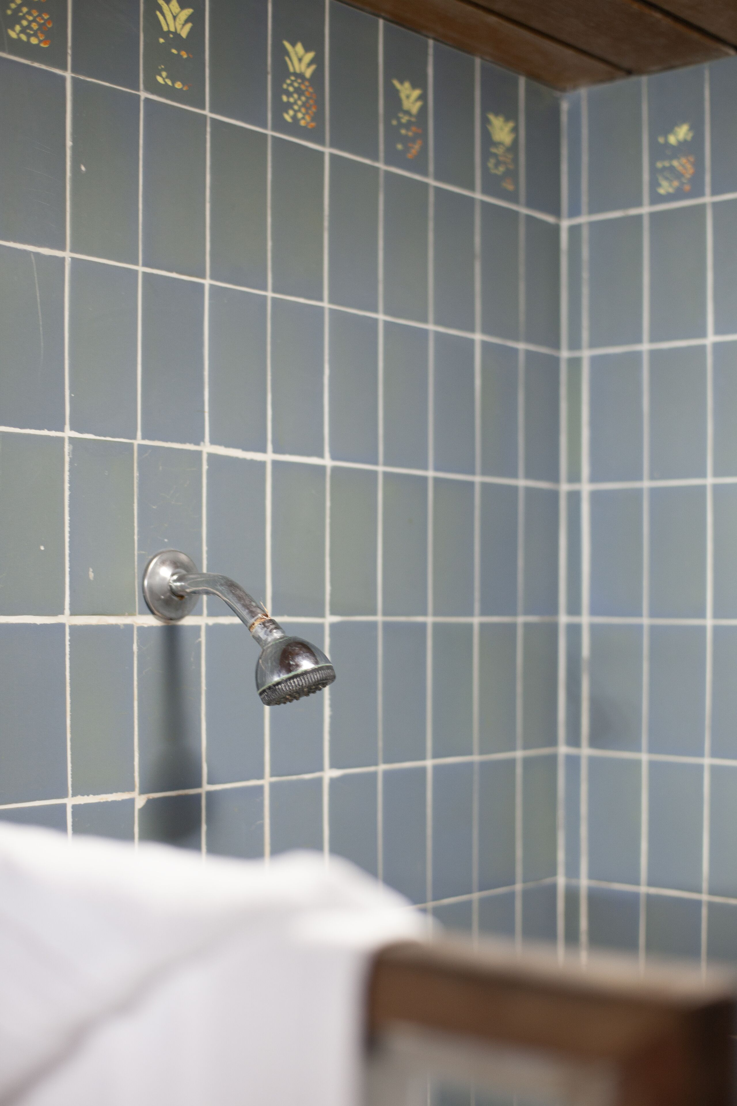 A bathroom with a shower head mounted on a tiled wall.