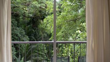 A window with a view of dense green foliage.