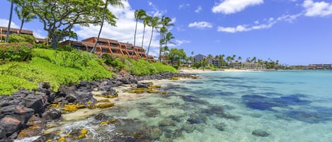 Condo, 1 habitación | Playa | En la playa