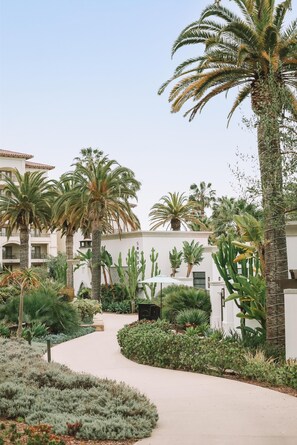 Jardín