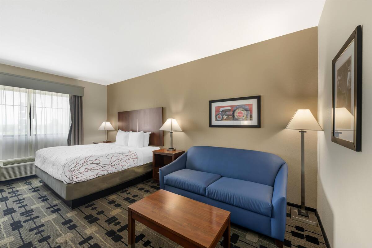 Chambre Standard, 1 très grand lit, non-fumeur, réfrigérateur et four à micro-ondes