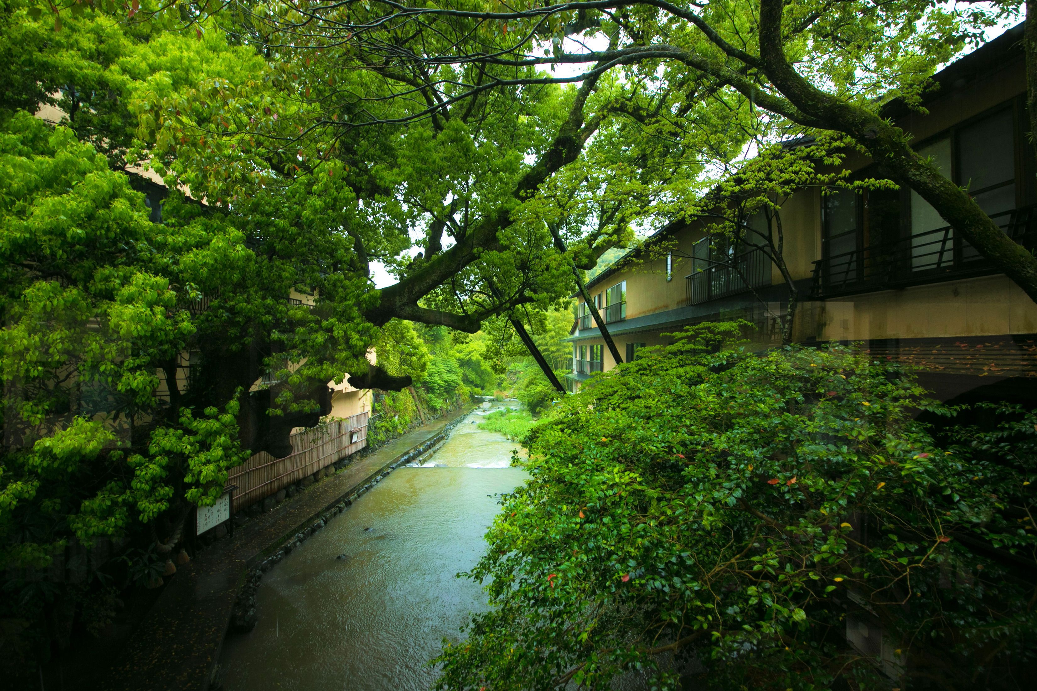 A narrow waterway flanked by lush greenery and a building with a balcony.