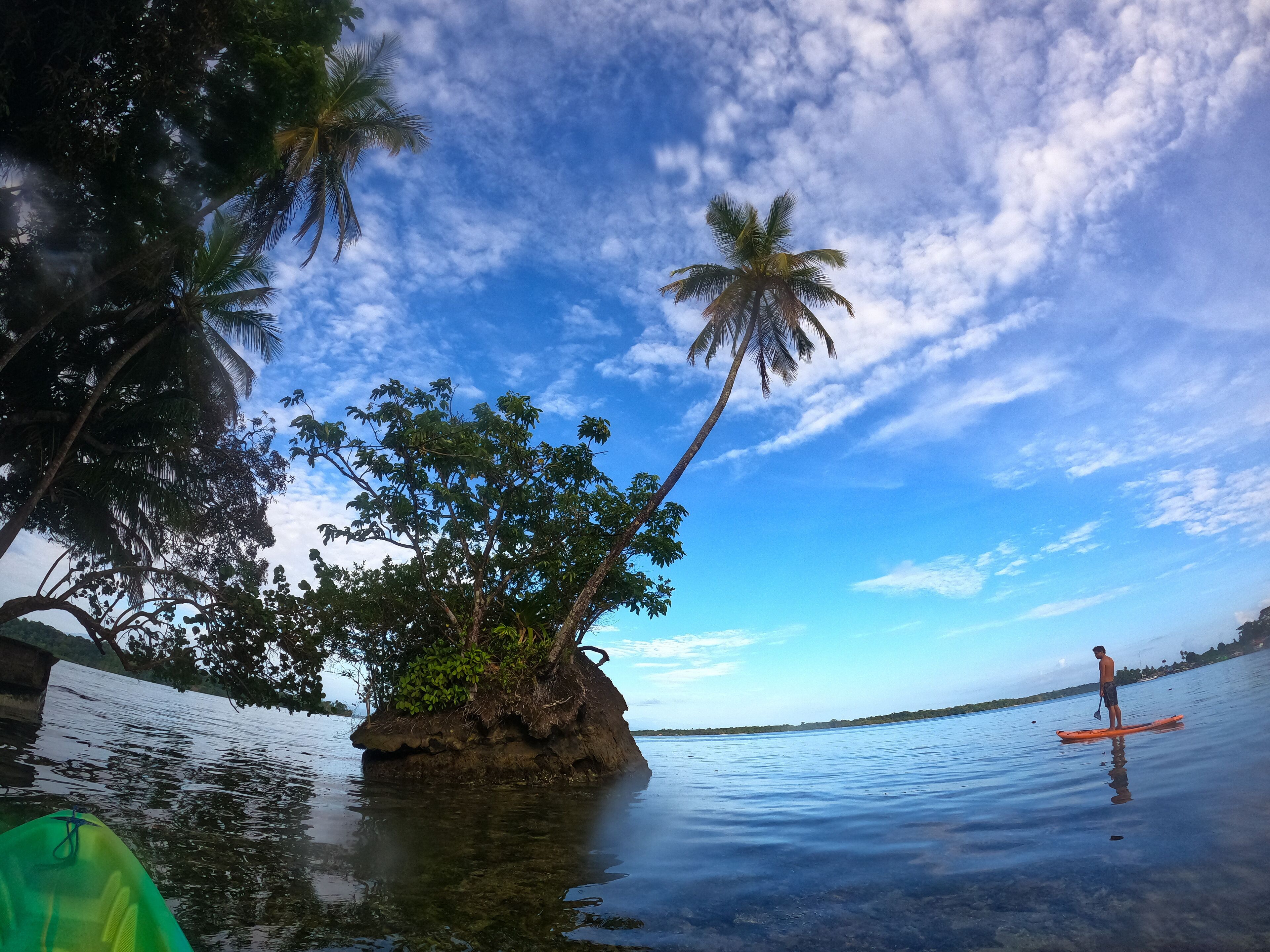 Une île tropicale avec une eau cristalline, des palmiers et une personne pratiquant le paddle.