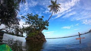 Une île tropicale avec une eau cristalline, des palmiers et une personne pratiquant le paddle.