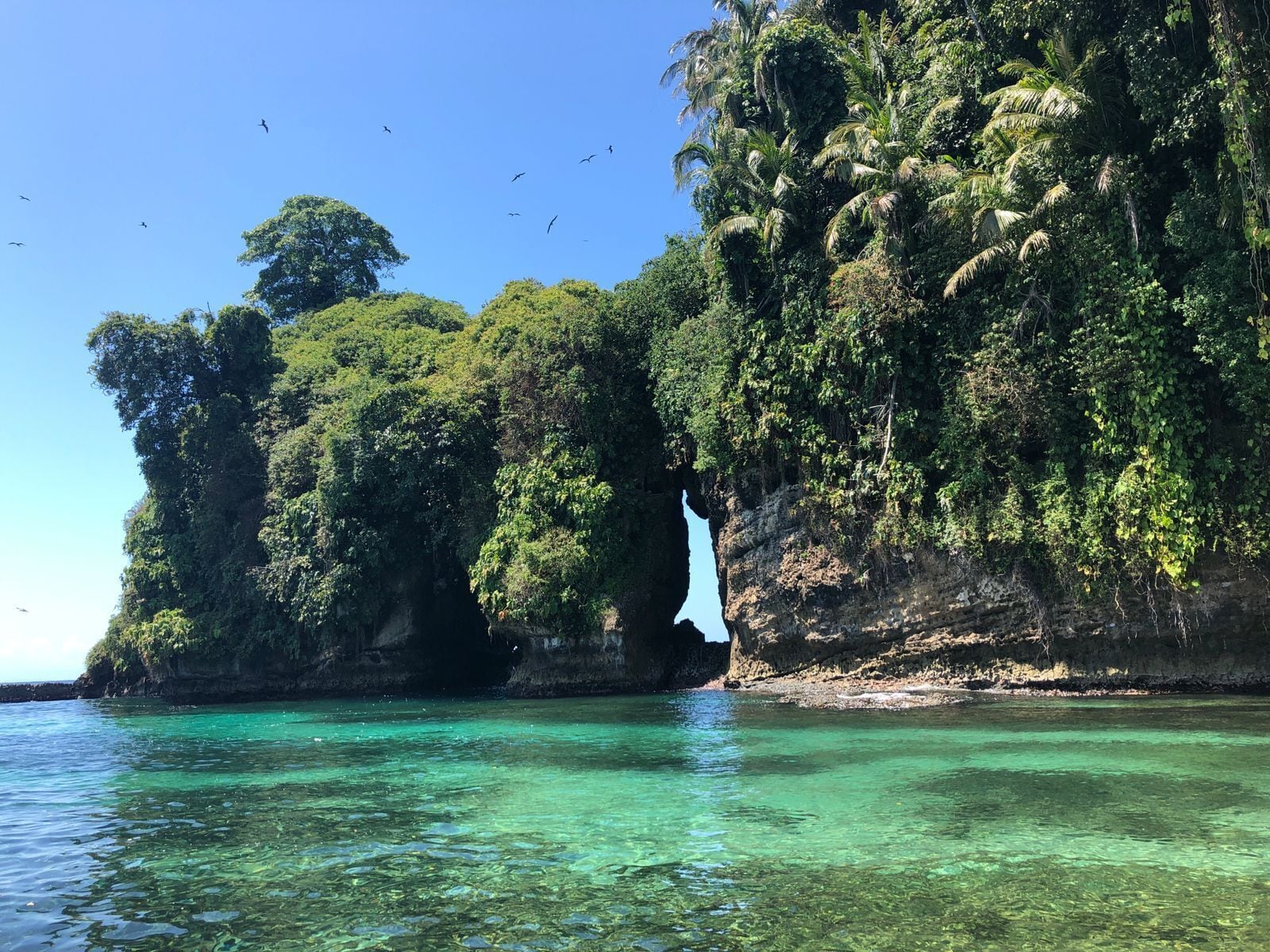Un paisaje costero con aguas turquesas cristalinas, vegetación verde exuberante y una destacada formación rocosa con un arco natural.