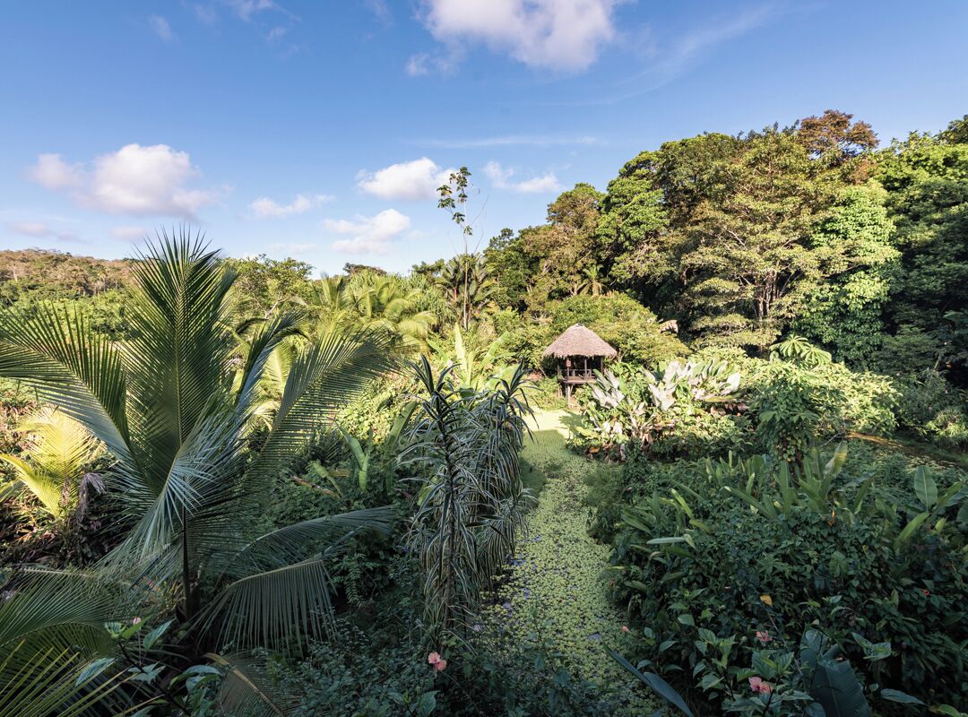 A lush garden with a thatched-roof structure, surrounded by dense tropical vegetation.