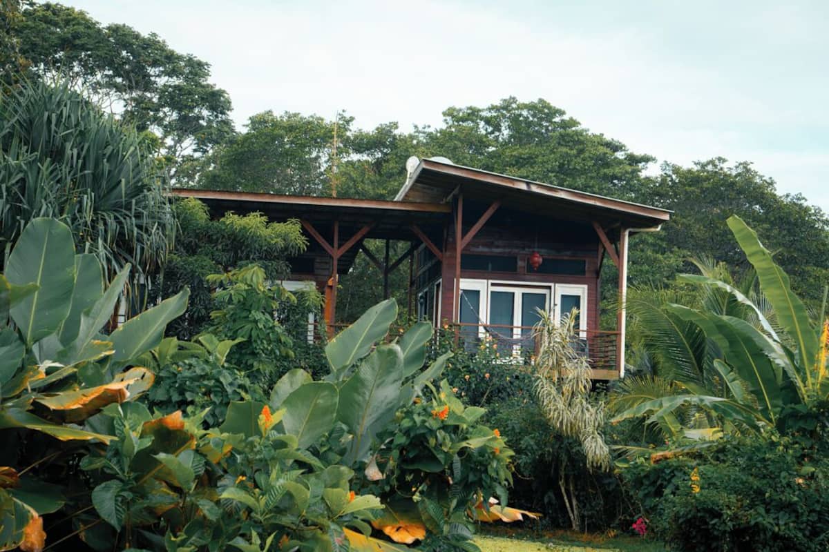 Una casa de fusta amb un porxo, envoltada de vegetació tropical exuberant.