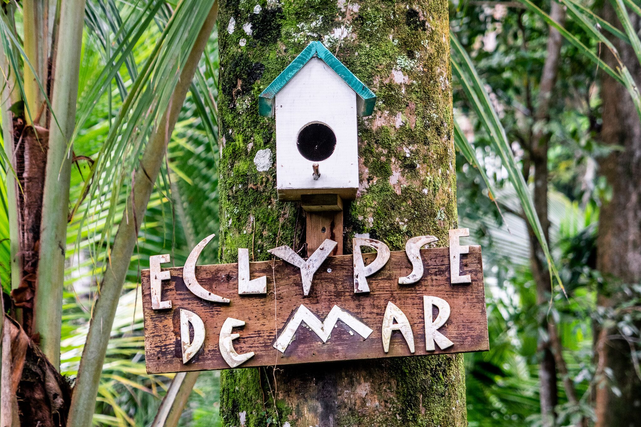 Un letrero de madera con el texto 'ECLYPSE DE MAR' sujeto a un árbol.