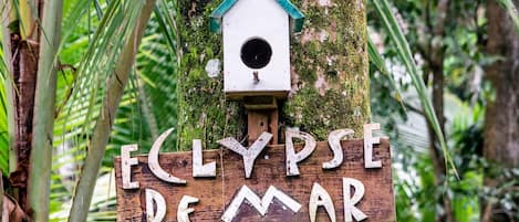 Un letrero de madera con el texto 'ECLYPSE DE MAR' sujeto a un árbol.