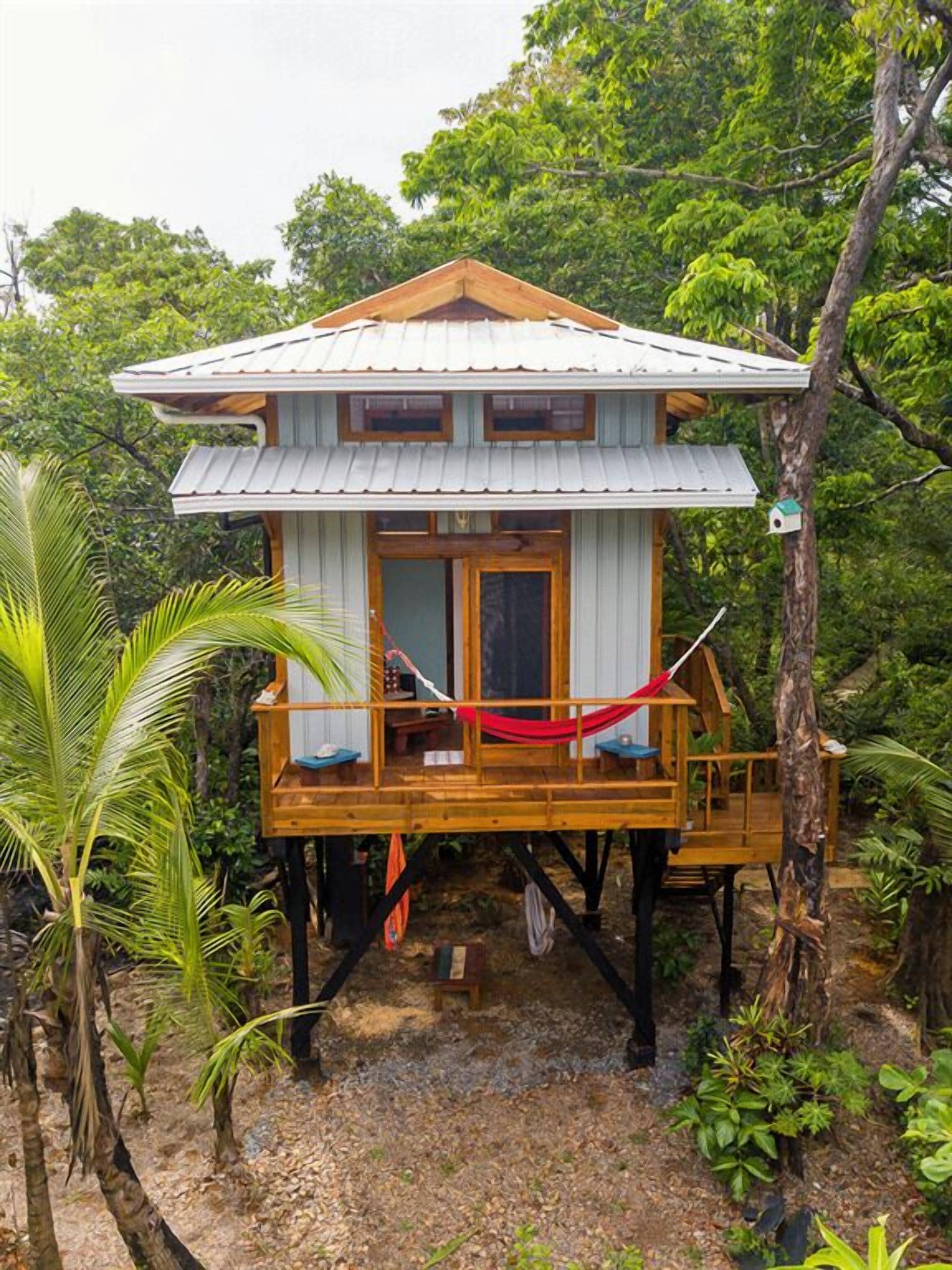 A wooden treehouse with a balcony, surrounded by tropical vegetation.