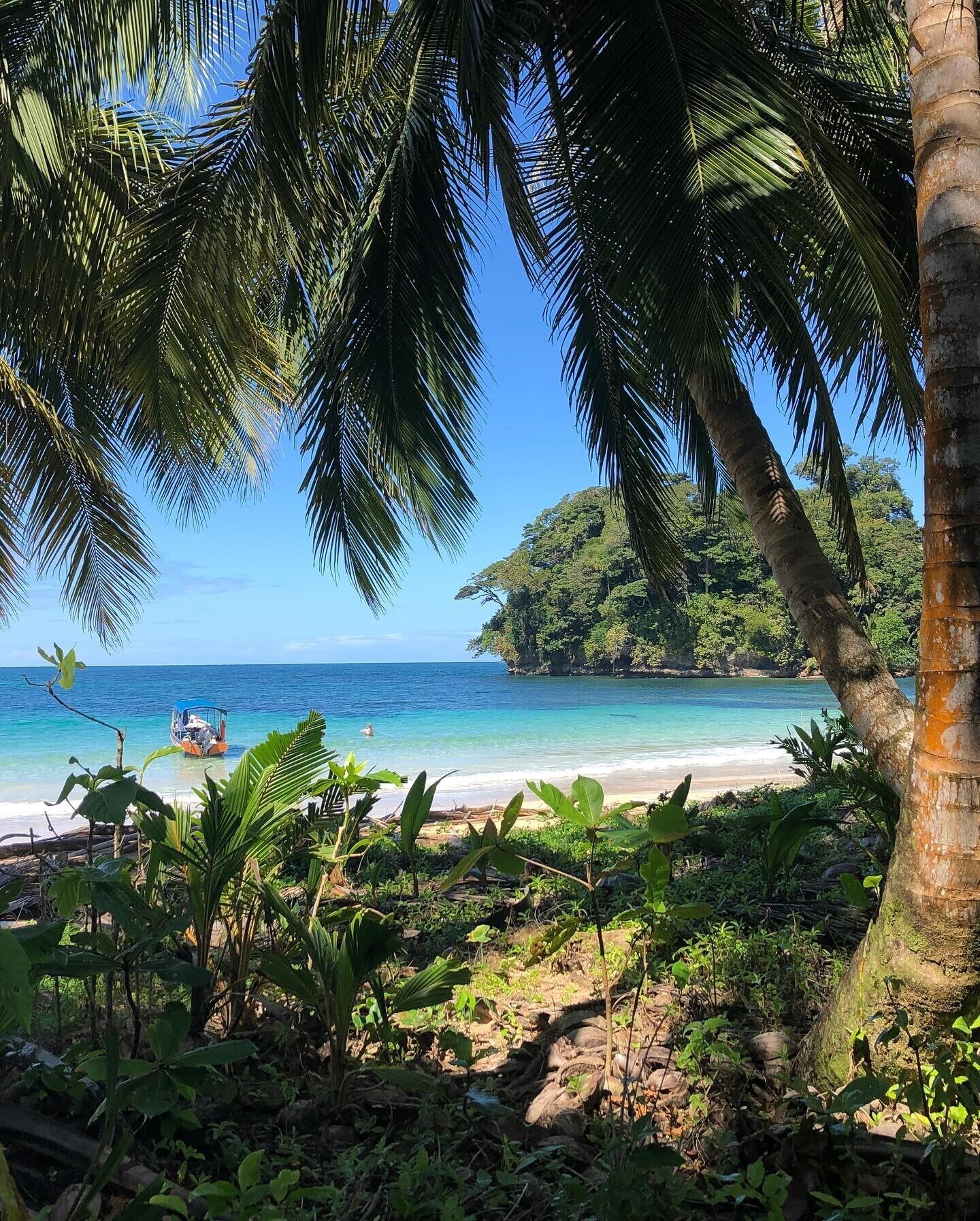 A tropical beach with clear blue water, a boat, and lush greenery.